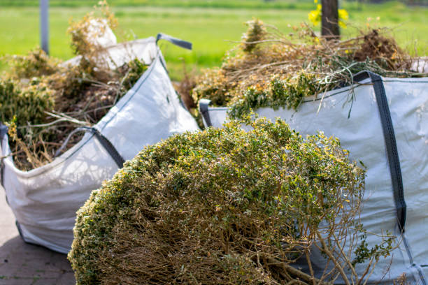 Same-Day Junk Removal Services in Bridgetown, MS